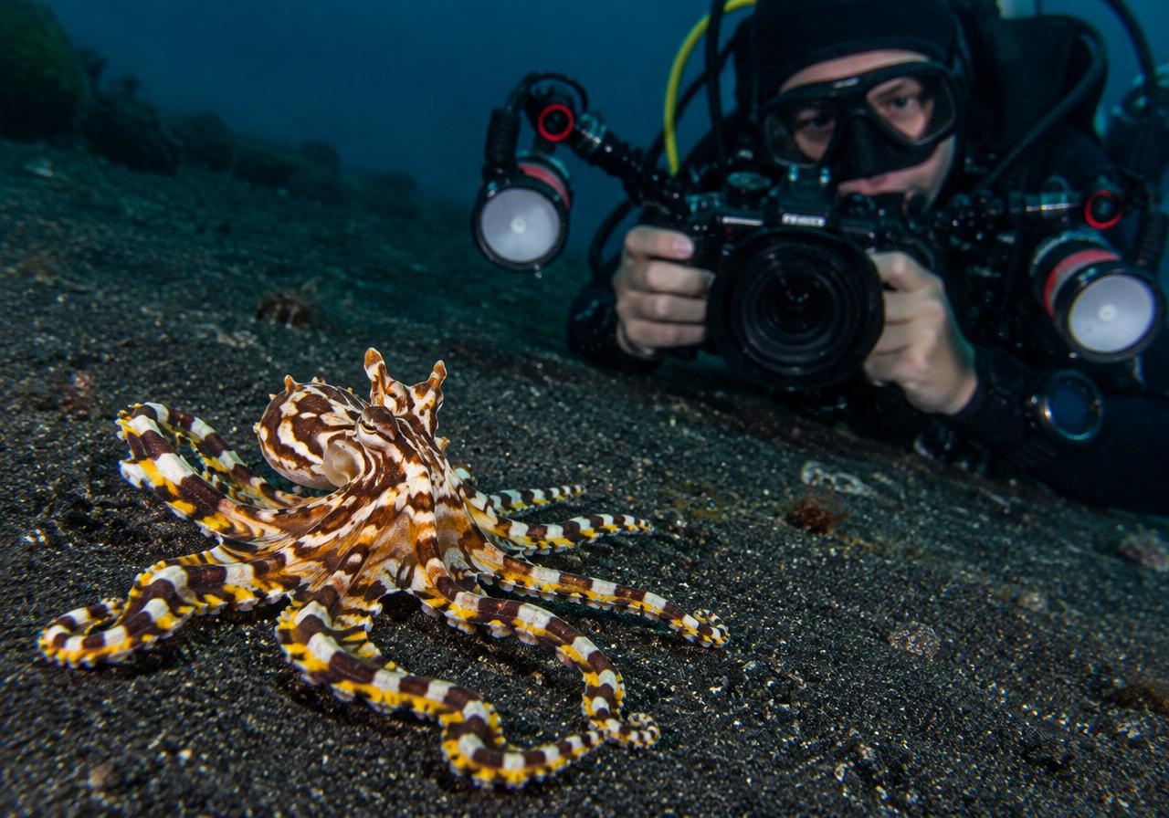 Muck Diving Selat Lembeh